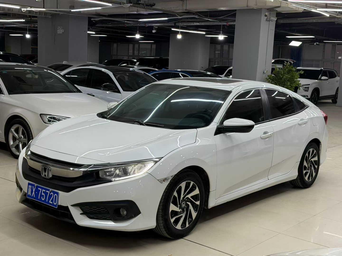 2016-12ئاينىڭ قول خوت سىۋىك بەك مۇۋاپىق باھادا سىتىلدۇ